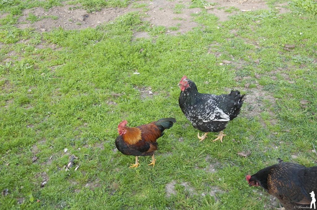 Vila Fancornio Rural Zancornio Pokoj fotografie